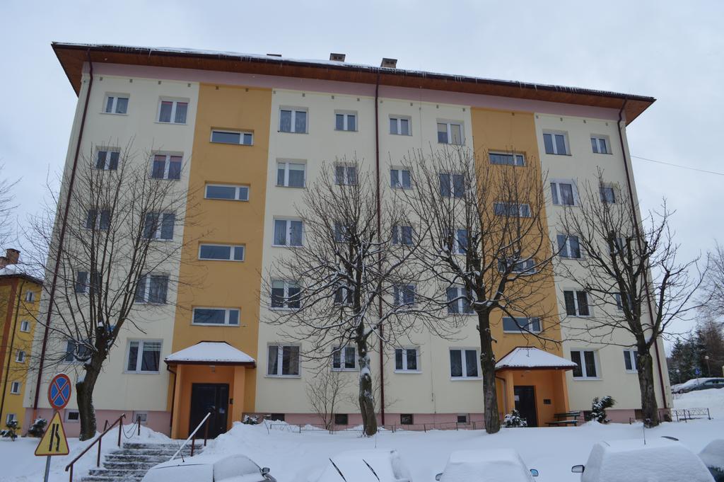 Apartament Ustrzyki Ustrzyki Dolne Esterno foto