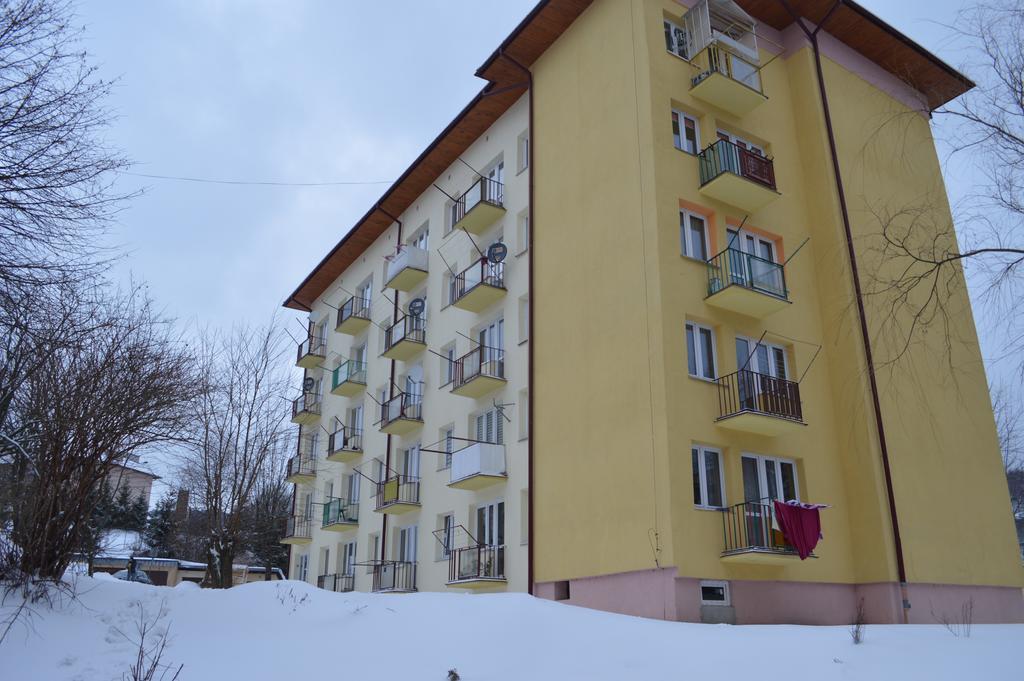 Apartament Ustrzyki Ustrzyki Dolne Esterno foto